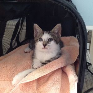 Meet your Posher, Janie